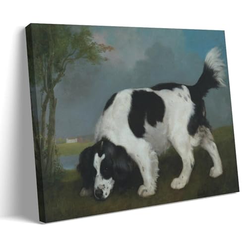 Affiche épagneul noir et blanc peinture George Stubbs, cadre déco toile 40x60 cm art