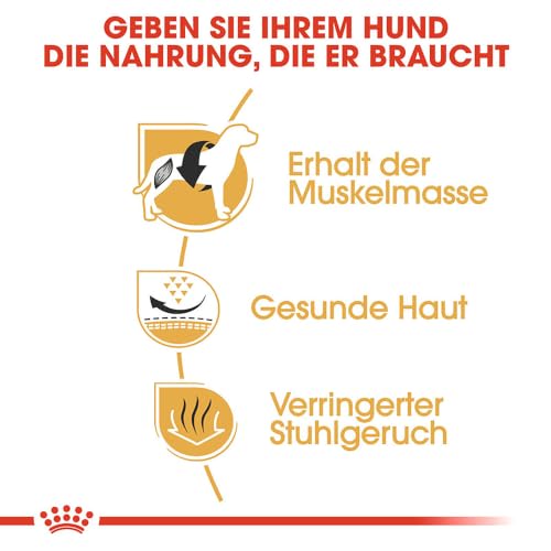 ROYAL CANIN French Bulldog Adult Trockennahrung für Hunde – 1.5 kg