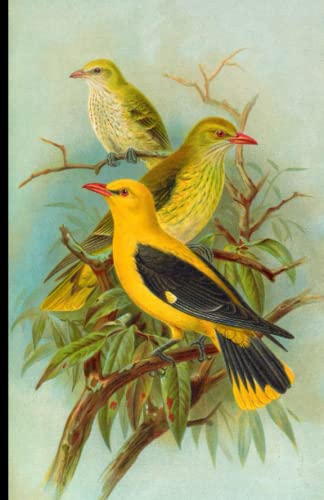 Oriolus Bird Art Cover Design: Writing Journal 5.5 x 8.5 Lined Paperback, Original Art Cover Design, Perfect Gift for Art Lovers.