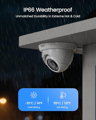 AI surveillance CCTV system