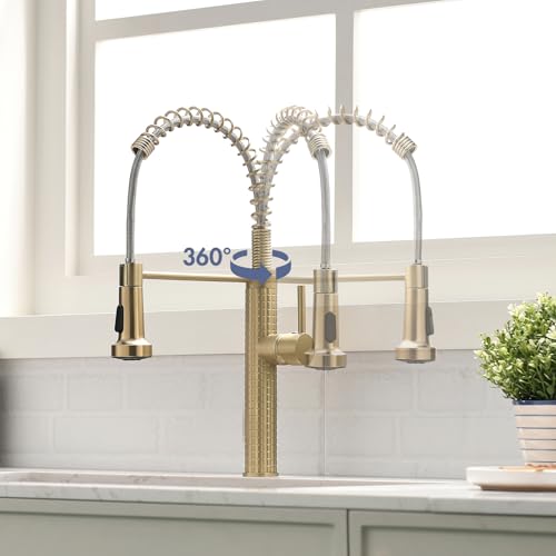 AIMADI Wasserhahn Küche Ausziehbar Küchenarmatur Einhebel-Mischer mit 360° Drehfunktion Armatur Küche Spültischarmatur Gold