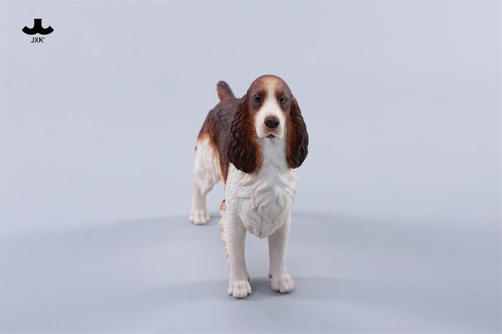 Amazon.co.jp: JXK イングリッシュ・コッカー・スパニエル 可愛い 犬