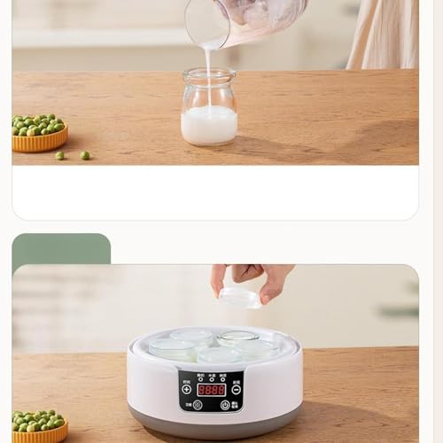 Image of CALANDIS Automatic Yogurt Maker Low Noise Household Constant Temperature Control 1.2L | Yogurt Makers | Small Kitchen Appliances