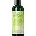 Invigorating Tea Tree Mint Shampoo - Rosemary Mint Shampoo for Oily Hair with Tea Tree Oil for Hair - Aromatherapy Clarifying Shampoo for Build Up Dry Scalp and Flakes with Essential Oils for Hair