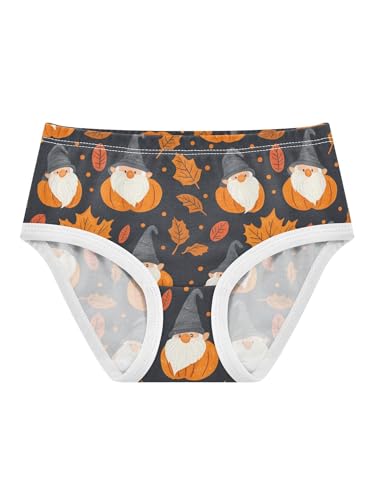 ZZKKO Fall Orange Leaves Pumpkin and Gnome Girls Underwear Toddler Panties for Girls Comfort Brief Size 2T