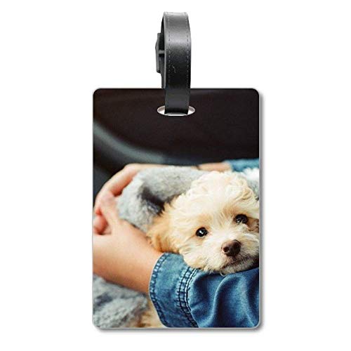 Étiquette valise voyage motif chiot idéale pour les vacances en famille et départs en week-end