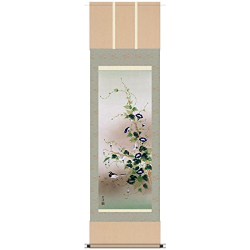 Amazon｜掛け軸 近藤玄洋・四季花鳥/夏/朝顔に鶺鴒（花鳥画・掛軸