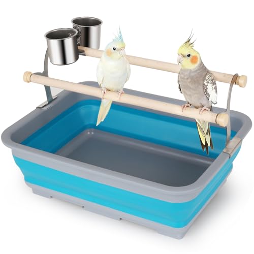 Image of Bird Desktop Training Perch Stand with Washable Plastic Tray, Large Size for Parakeet, Budgie, Cockatiel, Conure, Long Tail Parrot, Collapsible Design (Blue, Large)