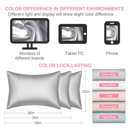 Mulberry Silk Pillow Cases Standard Size with Hidden Zipper, Ultra Smooth and Soft Breathable Cooling Silk Satin Pillowcase for Hair and Skin, Gifts for Women Men (Light Grey, 20x26 Inches, 1 Pack)