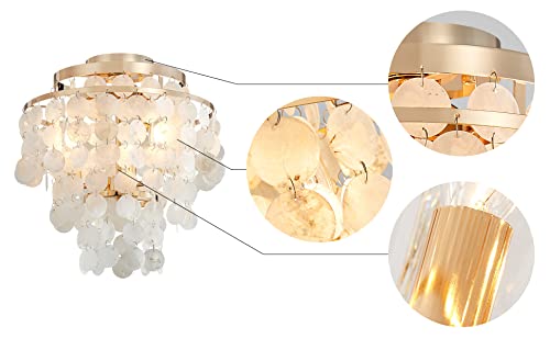 AGV LIGHTING CL008G Shell Ceiling Light, Perfect for Living Room, Bedroom, Dining Room, D13 x H15, 3-Lights, Shine Gold Finish - Image 3