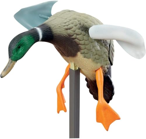  fRC f a I u CeA v[ K[f _ ƉH ͔d d R AȌ` (ỸAq)