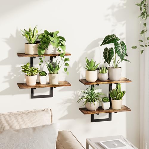 Bamworld Floating Shelves for Wall Planters for Indoor Plants Hanging Shelves Plant Holder Wall Decor Plant Stand Indoor for Plant Hangers Indoor for Living Room Bedroom Bathroom 2-Pack Brown