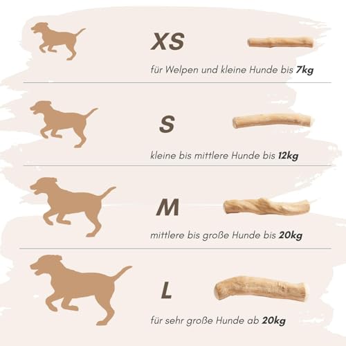 Supravit Natürlicher Kauknochen aus Kaffeeholz für Welpen XS | Mehr als EIN Holzstäbchen - spannendes Welpen Kauspielzeug & langanhaltende Beschäftigung | Kaustab Kauholz