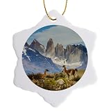 3dRose Torres del Paine Snowflake