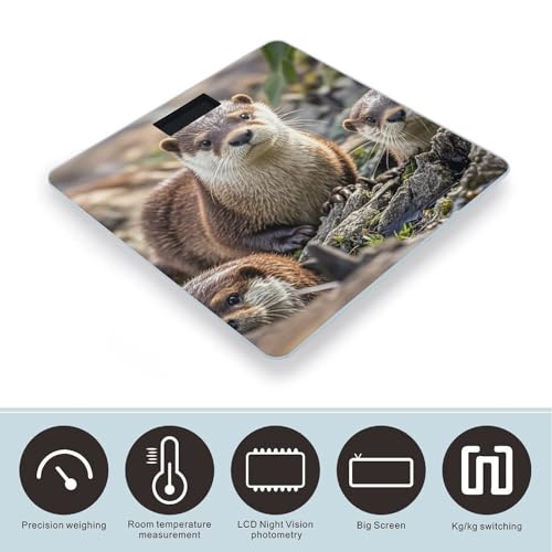 Báscula Digital de Baño Animal Cute Brown Otters miniatura 3