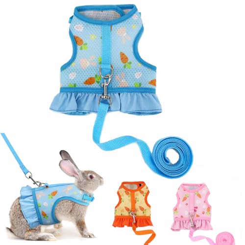 ETMn[lXƃ[VZbgAoj[xXgbgtFbgbgnX^[\tgbV킢jWp^[``ybgqLqu[S