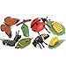 Gemini&Genius Insects Animals Figurine Toys, Butterfly and Ladybug Life Cycle Set- Realistic Education Insects Life Action Figures- Great for Learning, Cake Toppers, Stocking Stuffers for Kids(8Pcs)