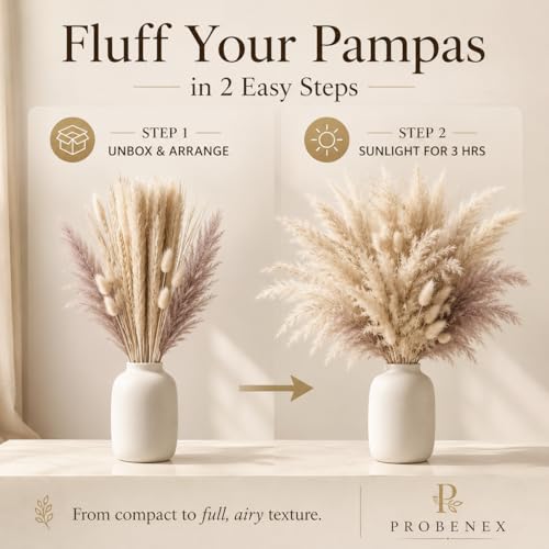 Ramo de 100 tallos de hierba pampas seca natural miniatura 7