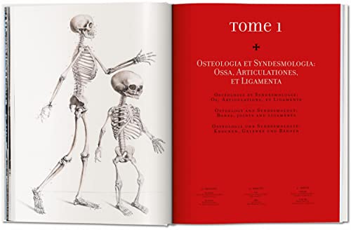 Image of Bourgery. Atlas of Human Anatomy and Surgery: The World as a Stage