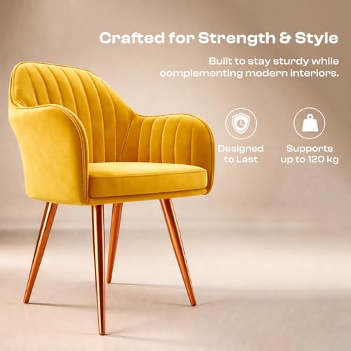Image of Vergo Plush Velvet Dining Chair, Cushion Seat, Wooden Frame, Metal Legs, Premium Accent Chair for Living Room, Bedroom, Dining Room, Cafe & Restaurant (Set of 2, Yellow)