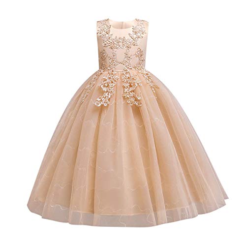 Baby Girls Flower Lace Long Princess Embroidery Poofy Dress for Toddler Wedding Bridesmaid Pageant Baptism Birthday Party Communion Puffy Tulle Dance Evening Ball Maxi Gown Khaki-06 6-7 Years