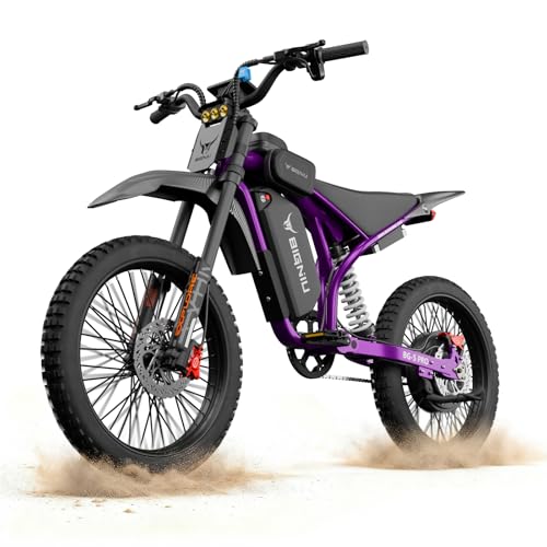 BIGNIU Off-Road Ebike, Electric Dirt Bike Electric Bike for Adults with 3000W Peak Motor, 60V 32Ah Battery, 19x2.1 Fat Tires, Removable Battery, E Bike for Teens, City Riding (Purple)