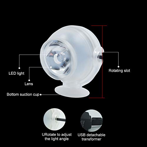 Opiniones y reviews de Iluminación LED sumergible de esta semana. 17 Imagen adicional