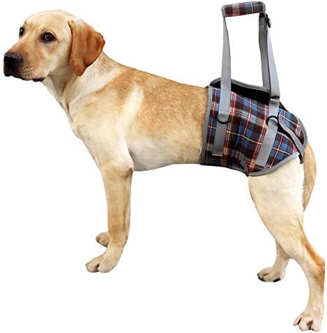 harness for dog missing front leg