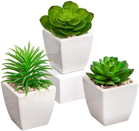 Briful 3PCS Fake Succulents for Farmhouse Tiered Tray Decor Smaller Artificial Potted Plants Faux Plants Indoor Bookshelf Decor House Plants Tabletop Decor in White Ceramic Pot