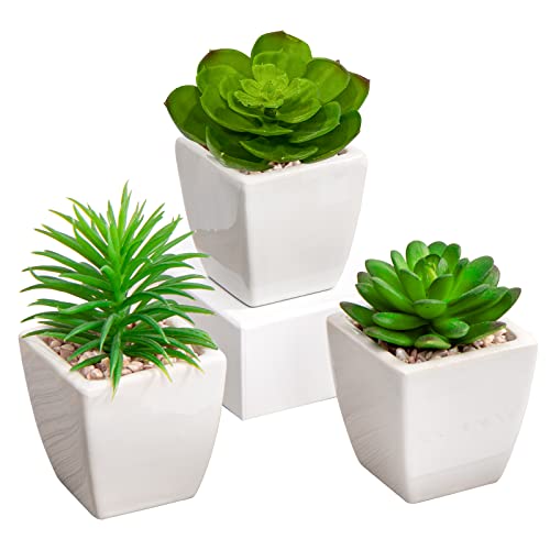 Briful 3Pcs Fake Succulents For Farmhouse Tiered Tray Decor Smaller Artificial Potted Plants Faux Plants Indoor Bookshelf Decor House Plants Tabletop Decor In White Ceramic Pot #TOP3
