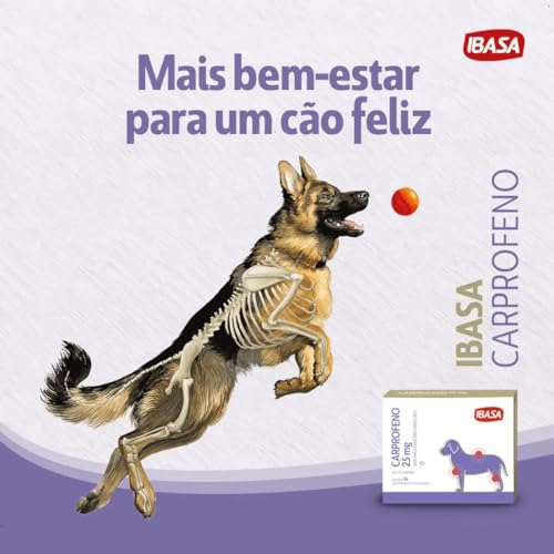 Ibasa Carprofeno 100Mg