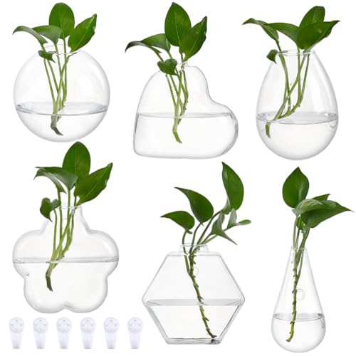 nbeads 6 Pcs 6 Styles Pot de Fleurs Mural, Station de Propagation Jardinière Murale Vase Suspendu en Verre pour Plantes D'Intérieur Décoration de Maison Salon Bureau