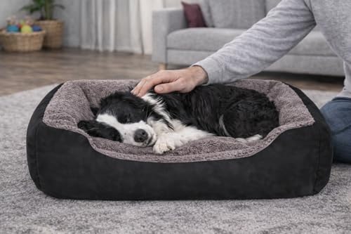 Image of SITSNOOZE Orthopedic Reversible Puppy Bed for Pets Up to 5 kg Washable Cushioned Sofa Mat for Small Pomeranian, Shih Tzu and Pug Dogs (Brown & Black, S)