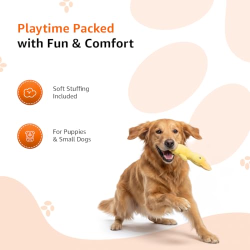 Image of Amazon Basics Fiber Stuffed Yellow Duck Crinkle Dog Toy | Soft Squeaker | Durable Cotton Fabric | for Teething & Training | Small, Medium & Large Dogs | Indoor Play