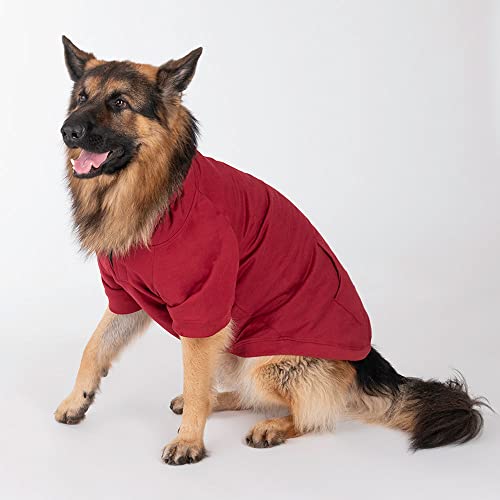 Image of HUFT Sweatshirt for Dogs - Maroon