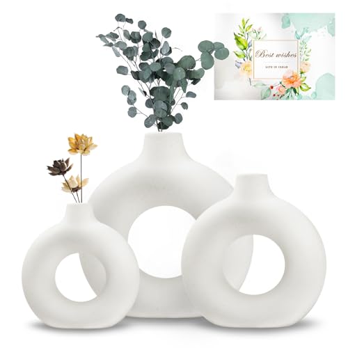 TEGOVE Juego de 3 Jarrón De Cerámica,Jarrones Redondos para Hierba de Pampas,jarrones creativos para decoración Moderna del hogar,para Decoración Moderna del Hogar,Salón,Comedor(M+S+L)