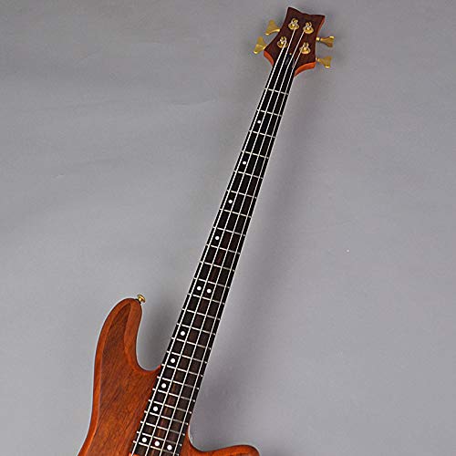 Amazon | SCHECTER STILETTO STUDIO 4 【AD-SL-ST4】 エレキベース
