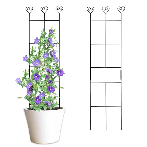 2 Pack 30'' Plant Trellis for Climbing Plants Indoors,...