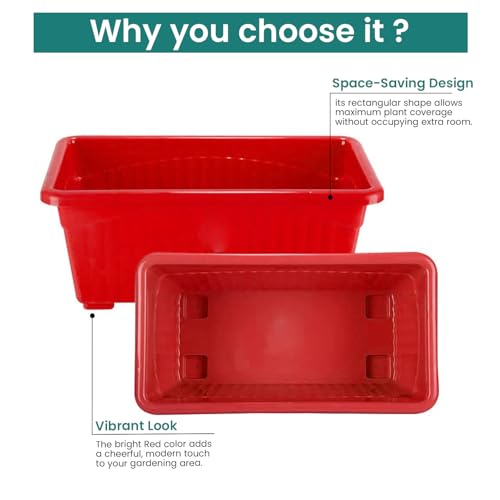 Image of Bianco Rectangular Plastic Pots for Plants, Jupiter Flower Pots for Home, Window Display, Garden (35 x 18.5 x 15 cm) (RED) (Pack of 5)