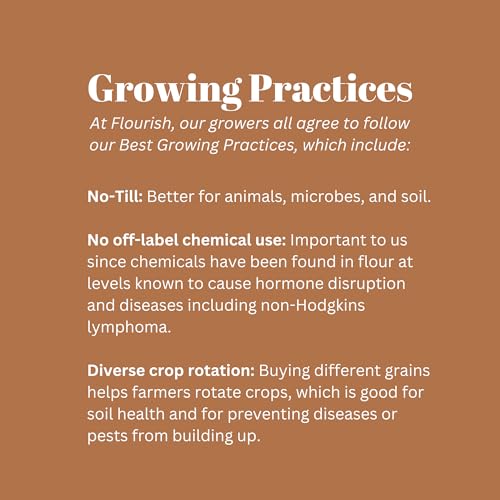 Flourish Millworks Diastatic Malt Powder - 8oz - Premium Baking Enhancer & Dough Improver - The Baker's Best-Kept Secret for Perfect Rise and Browning