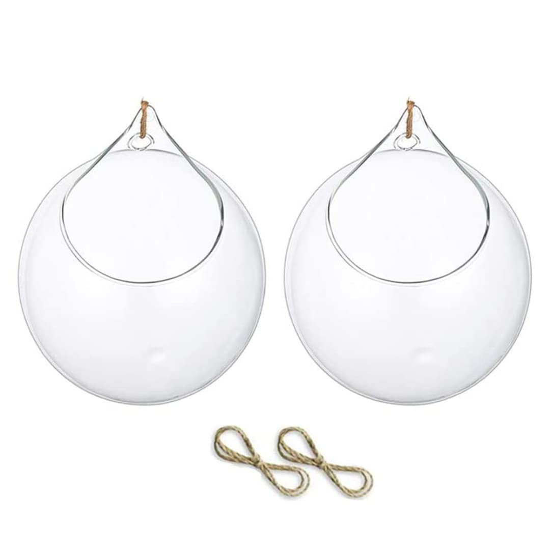 Planteur globe suspendu en verre Gcroet pour créer un jardin aérien