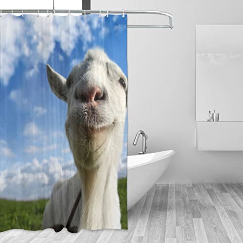 Rideau de douche chèvre avec 12 crochets accessoire de douche moderne lavable