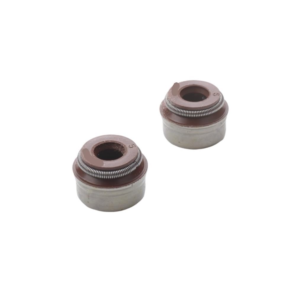Joint d'huile de tige de soupape 125cc haute résistance thermique moteur 100669210