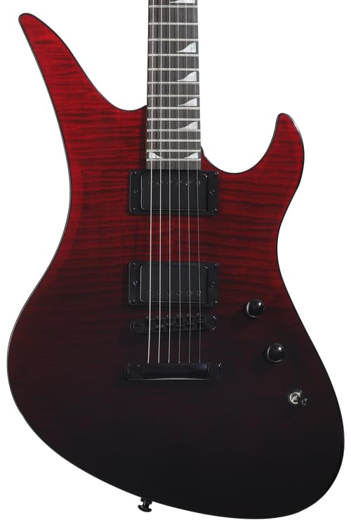 Amazon.com: Schecter Avenger Standard Electric Guitar - Blood
