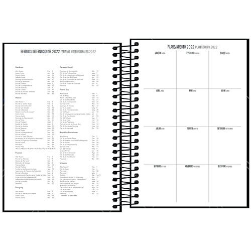 Agenda Executiva Espiral Diária 13 x 18,8 cm Spot 2022 - Estampa Cinza com verde - Tilibra