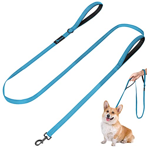 Image of Dog Leash for Small to Medium Dogs 6 ft with 3 Reflective Stitching and 2 Traffic Padded Handles Dog Lead /Rope, Pet Leash for Running Walking Training (6 ft x 0.6 in - Blue 1 Pack)