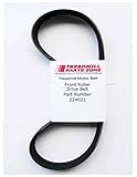 Weslo Model WL460020 WESLO Cadence 1016 ETS Treadmill Motor Belt 224021