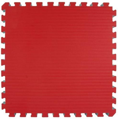 Greatmats Home MMA BJJ Mats 2x2 Ft (Red/Blue) by Greatmats