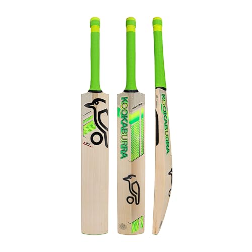Batte de cricket Kookaburra Big Kahuna à manche court pour entraînement et match