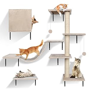 Zvonema 20014 Kletterwand-Set für Katzen 10-teilig